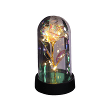 Load image into Gallery viewer, Vianys Eternal Rose