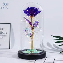 Load image into Gallery viewer, Vianys Eternal Rose