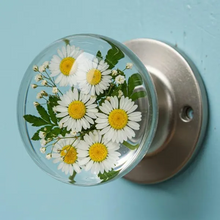 Load image into Gallery viewer, Vianys NatureNest Crystal Knob