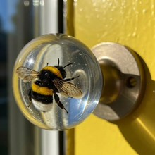 Load image into Gallery viewer, Vianys NatureNest Crystal Knob