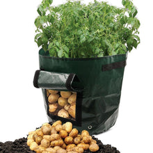 Laden Sie das Bild in den Galerie-Viewer. Potato Grow Planter PE Container Bag Vegetables Garden Outdoor