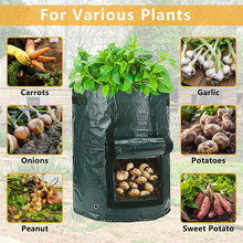 Laden Sie das Bild in den Galerie-Viewer. Potato Grow Planter PE Container Bag Vegetables Garden Outdoor