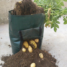 Laden Sie das Bild in den Galerie-Viewer. Potato Grow Planter PE Container Bag Vegetables Garden Outdoor