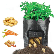 Laden Sie das Bild in den Galerie-Viewer. Potato Grow Planter PE Container Bag Vegetables Garden Outdoor