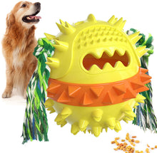 Cargar imagen en el visor de la galería, Chew Squeaky Toothbrush Toy Float Ball for Small/Medium/Large Dogs