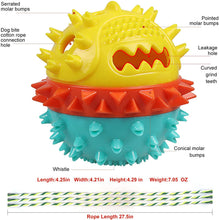 Cargar imagen en el visor de la galería, Chew Squeaky Toothbrush Toy Float Ball for Small/Medium/Large Dogs