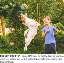 Cargar imagen en el visor de la galería, Chew Squeaky Toothbrush Toy Float Ball for Small/Medium/Large Dogs