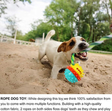 Cargar imagen en el visor de la galería, Chew Squeaky Toothbrush Toy Float Ball for Small/Medium/Large Dogs