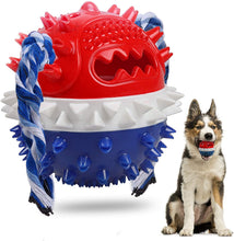 Cargar imagen en el visor de la galería, Chew Squeaky Toothbrush Toy Float Ball for Small/Medium/Large Dogs